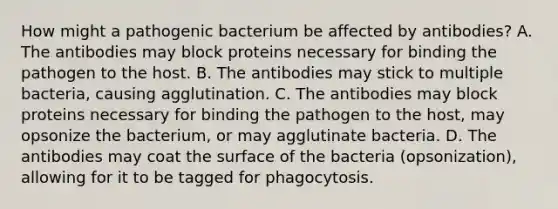 How might a pathogenic bacterium be affected by antibodies? A. The antibodies may block proteins necessary for binding the pathogen to the host. B. The antibodies may stick to multiple bacteria, causing agglutination. C. The antibodies may block proteins necessary for binding the pathogen to the host, may opsonize the bacterium, or may agglutinate bacteria. D. The antibodies may coat the surface of the bacteria (opsonization), allowing for it to be tagged for phagocytosis.