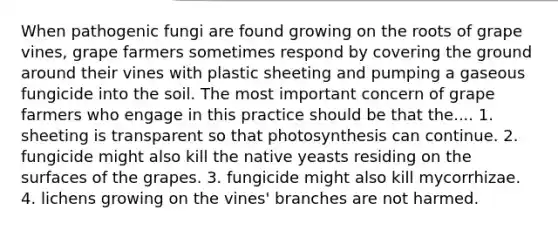 When pathogenic fungi are found growing on the roots of grape vines, grape farmers sometimes respond by covering the ground around their vines with plastic sheeting and pumping a gaseous fungicide into the soil. The most important concern of grape farmers who engage in this practice should be that the.... 1. sheeting is transparent so that photosynthesis can continue. 2. fungicide might also kill the native yeasts residing on the surfaces of the grapes. 3. fungicide might also kill mycorrhizae. 4. lichens growing on the vines' branches are not harmed.