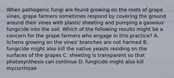 When pathogenic fungi are found growing on the roots of grape vines, grape farmers sometimes respond by covering the ground around their vines with plastic sheeting and pumping a gaseous fungicide into the soil. Which of the following results might be a concern for the grape farmers who engage in this practice? A. lichens growing on the vines' branches are not harmed B. fungicide might also kill the native yeasts residing on the surfaces of the grapes C. sheeting is transparent so that photosynthesis can continue D. fungicide might also kill mycorrhizae