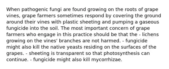 When pathogenic fungi are found growing on the roots of grape vines, grape farmers sometimes respond by covering the ground around their vines with plastic sheeting and pumping a gaseous fungicide into the soil. The most important concern of grape farmers who engage in this practice should be that the - lichens growing on the vines' branches are not harmed. - fungicide might also kill the native yeasts residing on the surfaces of the grapes. - sheeting is transparent so that photosynthesis can continue. - fungicide might also kill mycorrhizae.