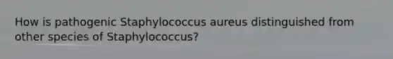 How is pathogenic Staphylococcus aureus distinguished from other species of Staphylococcus?