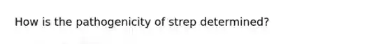 How is the pathogenicity of strep determined?