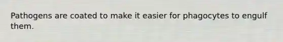 Pathogens are coated to make it easier for phagocytes to engulf them.