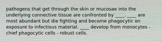 pathogens that get through the skin or mucosae into the underlying connective tissue are confronted by ____. ____ are most abundant but die fighting and become phagocytic on exposure to infectious material. ____ develop from monocytes - chief phagocytic cells - robust cells.