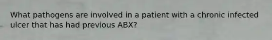 What pathogens are involved in a patient with a chronic infected ulcer that has had previous ABX?