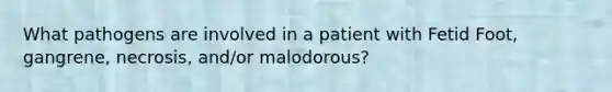 What pathogens are involved in a patient with Fetid Foot, gangrene, necrosis, and/or malodorous?