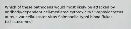 Which of these pathogens would most likely be attacked by antibody-dependent cell-mediated cytotoxicity? Staphylococcus aureus varicella-zoster virus Salmonella typhi blood flukes (schistosomes)