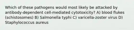 Which of these pathogens would most likely be attacked by antibody-dependent cell-mediated cytotoxicity? A) blood flukes (schistosomes) B) Salmonella typhi C) varicella-zoster virus D) Staphylococcus aureus