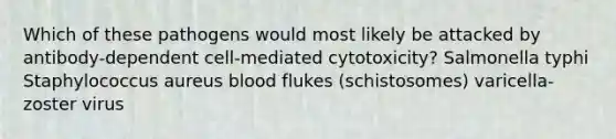 Which of these pathogens would most likely be attacked by antibody-dependent cell-mediated cytotoxicity? Salmonella typhi Staphylococcus aureus blood flukes (schistosomes) varicella-zoster virus