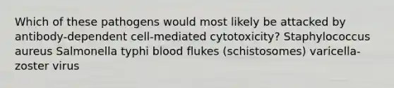 Which of these pathogens would most likely be attacked by antibody-dependent cell-mediated cytotoxicity? Staphylococcus aureus Salmonella typhi blood flukes (schistosomes) varicella-zoster virus