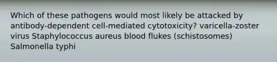 Which of these pathogens would most likely be attacked by antibody-dependent cell-mediated cytotoxicity? varicella-zoster virus Staphylococcus aureus blood flukes (schistosomes) Salmonella typhi