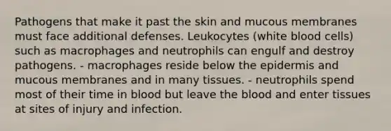 Pathogens that make it past the skin and mucous membranes must face additional defenses. Leukocytes (white blood cells) such as macrophages and neutrophils can engulf and destroy pathogens. - macrophages reside below the epidermis and mucous membranes and in many tissues. - neutrophils spend most of their time in blood but leave the blood and enter tissues at sites of injury and infection.