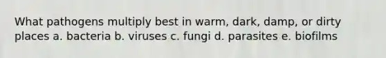 What pathogens multiply best in warm, dark, damp, or dirty places a. bacteria b. viruses c. fungi d. parasites e. biofilms