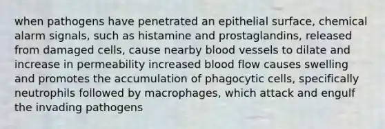 when pathogens have penetrated an epithelial surface, chemical alarm signals, such as histamine and prostaglandins, released from damaged cells, cause nearby blood vessels to dilate and increase in permeability increased blood flow causes swelling and promotes the accumulation of phagocytic cells, specifically neutrophils followed by macrophages, which attack and engulf the invading pathogens