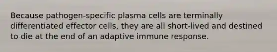 Because pathogen-specific plasma cells are terminally differentiated effector cells, they are all short-lived and destined to die at the end of an adaptive immune response.