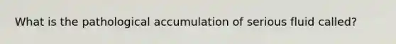 What is the pathological accumulation of serious fluid called?