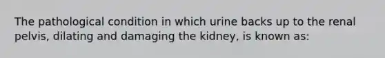 The pathological condition in which urine backs up to the renal pelvis, dilating and damaging the kidney, is known as: