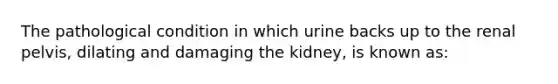 The pathological condition in which urine backs up to the renal​ pelvis, dilating and damaging the​ kidney, is known​ as: