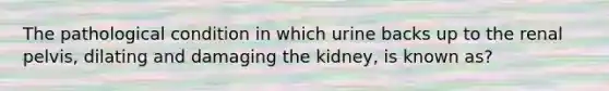 The pathological condition in which urine backs up to the renal​ pelvis, dilating and damaging the​ kidney, is known​ as?