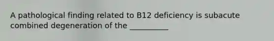 A pathological finding related to B12 deficiency is subacute combined degeneration of the __________