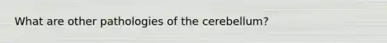 What are other pathologies of the cerebellum?