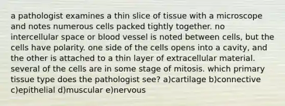 a pathologist examines a thin slice of tissue with a microscope and notes numerous cells packed tightly together. no intercellular space or blood vessel is noted between cells, but the cells have polarity. one side of the cells opens into a cavity, and the other is attached to a thin layer of extracellular material. several of the cells are in some stage of mitosis. which primary tissue type does the pathologist see? a)cartilage b)connective c)epithelial d)muscular e)nervous