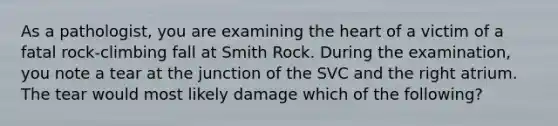 As a pathologist, you are examining the heart of a victim of a fatal rock-climbing fall at Smith Rock. During the examination, you note a tear at the junction of the SVC and the right atrium. The tear would most likely damage which of the following?