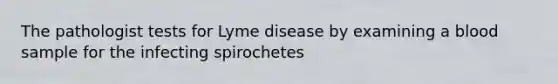 The pathologist tests for Lyme disease by examining a blood sample for the infecting spirochetes