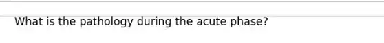 What is the pathology during the acute phase?