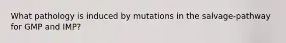 What pathology is induced by mutations in the salvage-pathway for GMP and IMP?