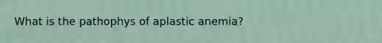 What is the pathophys of aplastic anemia?