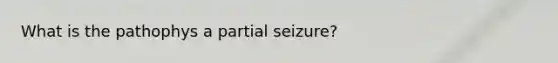 What is the pathophys a partial seizure?