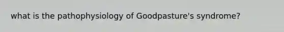 what is the pathophysiology of Goodpasture's syndrome?