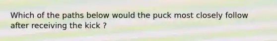 Which of the paths below would the puck most closely follow after receiving the kick ?