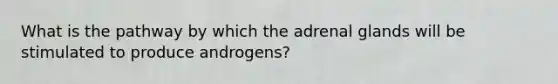 What is the pathway by which the adrenal glands will be stimulated to produce androgens?