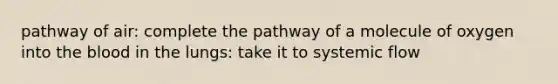 pathway of air: complete the pathway of a molecule of oxygen into the blood in the lungs: take it to systemic flow