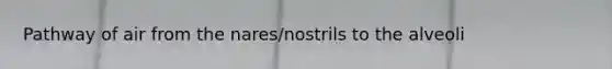 Pathway of air from the nares/nostrils to the alveoli