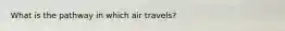 What is the pathway in which air travels?