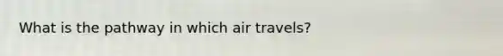 What is the pathway in which air travels?