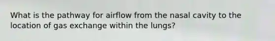 What is the pathway for airflow from the nasal cavity to the location of gas exchange within the lungs?