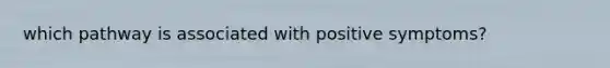 which pathway is associated with positive symptoms?