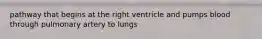 pathway that begins at the right ventricle and pumps blood through pulmonary artery to lungs