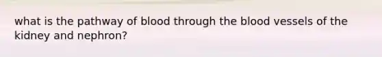 what is the pathway of blood through <a href='https://www.questionai.com/knowledge/k7oXMfj7lk-the-blood' class='anchor-knowledge'>the blood</a> vessels of the kidney and nephron?