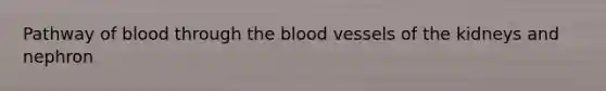 Pathway of blood through the blood vessels of the kidneys and nephron