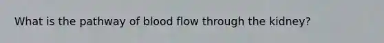 What is the pathway of blood flow through the kidney?