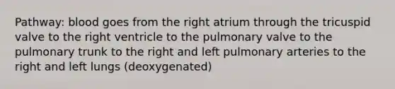 Pathway: blood goes from the right atrium through the tricuspid valve to the right ventricle to the pulmonary valve to the pulmonary trunk to the right and left pulmonary arteries to the right and left lungs (deoxygenated)