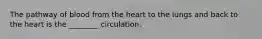 The pathway of blood from the heart to the lungs and back to the heart is the ________ circulation.