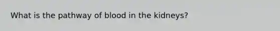 What is the pathway of blood in the kidneys?