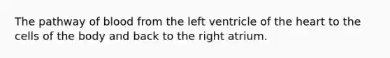 The pathway of blood from the left ventricle of the heart to the cells of the body and back to the right atrium.