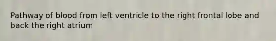 Pathway of blood from left ventricle to the right frontal lobe and back the right atrium